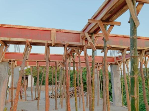 P. Medinipur site image 